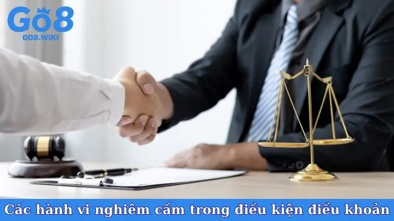 Các hành vi nghiêm cấm trong điều kiện điều khoản