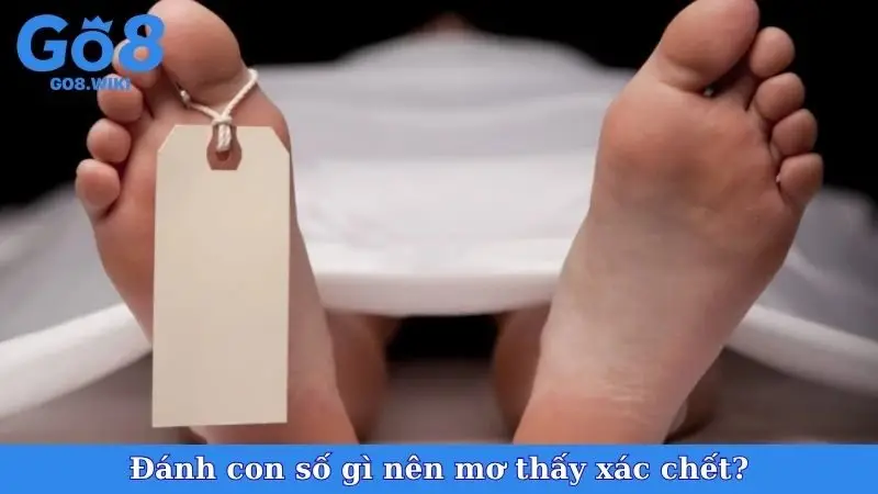 Đánh con số gì nên mơ thấy xác chết?
