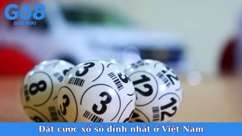 Đặt cược xổ số đỉnh nhất ở Việt Nam