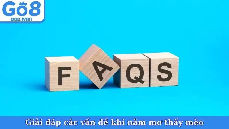 Giải đáp các vấn đề khi nằm mơ thấy mèo