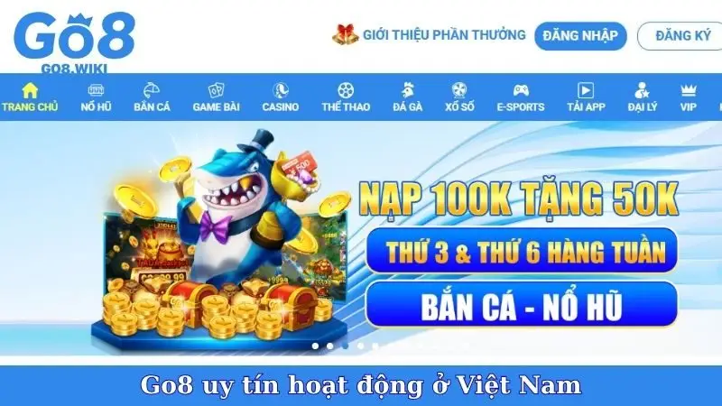 Go8 uy tín hoạt động ở Việt Nam