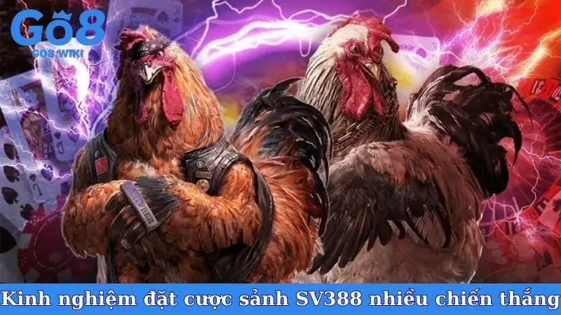 Kinh nghiệm đặt cược sảnh SV388 nhiều chiến thắng