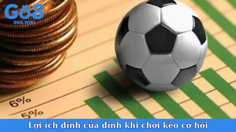 Lợi ích đỉnh của đỉnh khi chơi kèo cơ hội