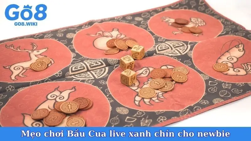 Mẹo chơi Bầu Cua live xanh chín cho newbie