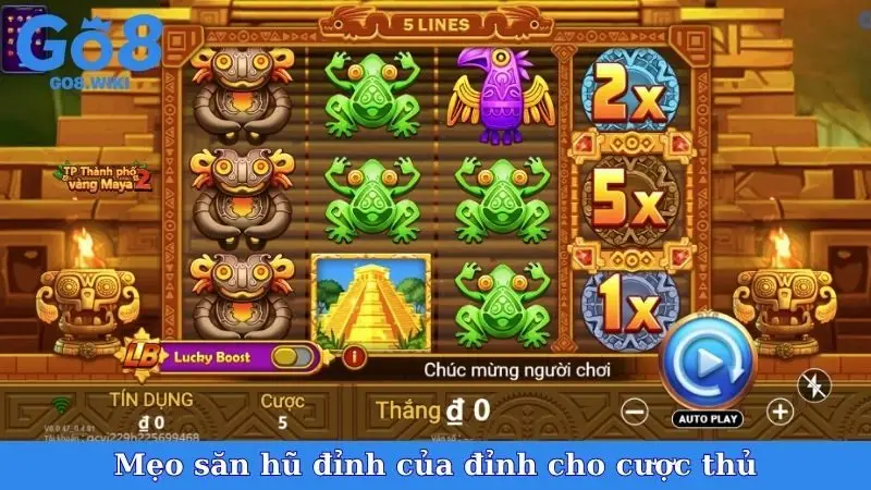 Mẹo săn hũ đỉnh của đỉnh cho cược thủ