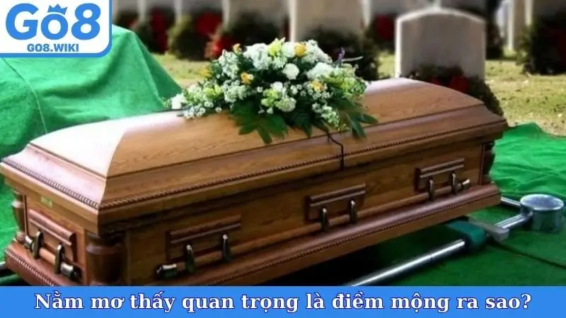 Nằm mơ thấy quan trọng là điềm mộng ra sao?